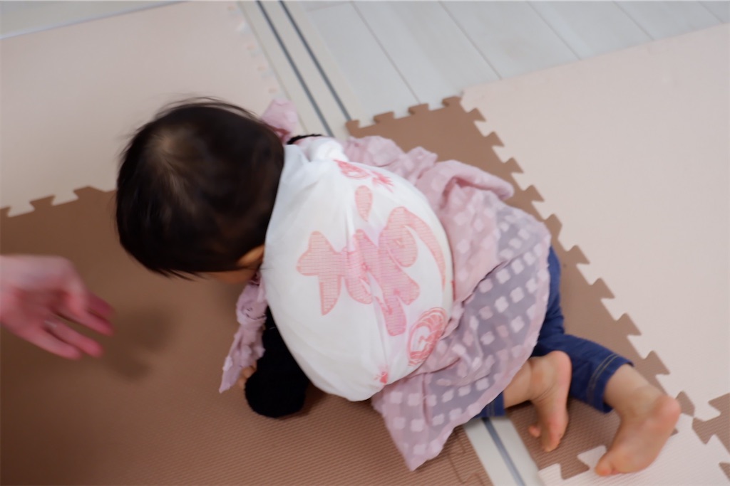 f:id:PiyoPiyoDiary:20201028194516j:image f:id:PiyoPiyoDiary:20201028194516j:image