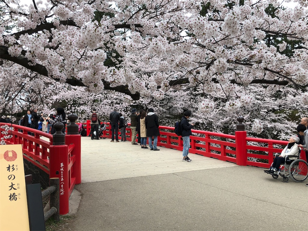 f:id:Piyoden:20180423235438j:image f:id:Piyoden:20180423235438j:image