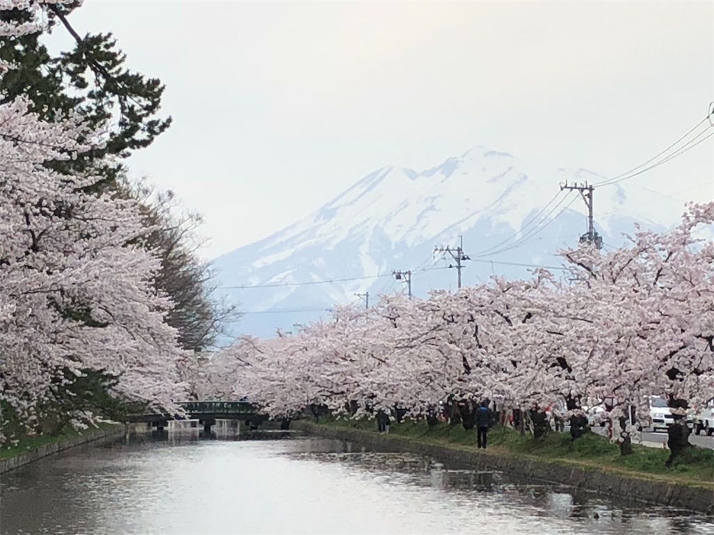 f:id:Piyoden:20180424001454j:image f:id:Piyoden:20180424001454j:image