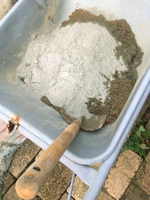 f:id:PlantesSucculentes:20191128103859j:plain