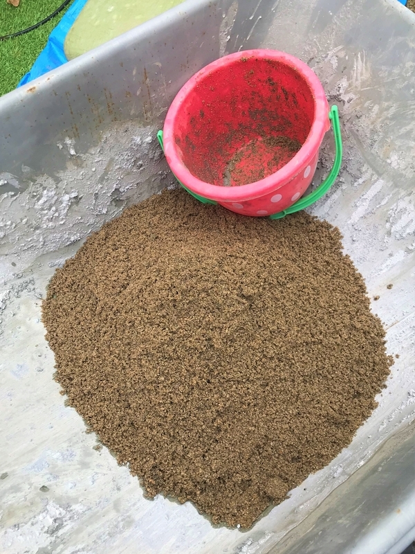 f:id:PlantesSucculentes:20191128103913j:plain