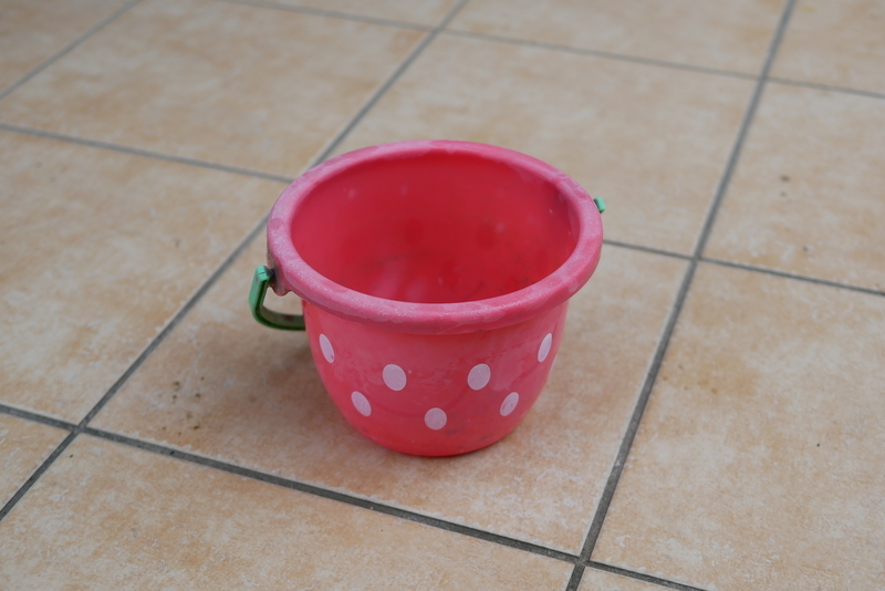 f:id:PlantesSucculentes:20191128112356j:plain