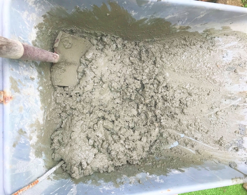 f:id:PlantesSucculentes:20191128112740j:plain