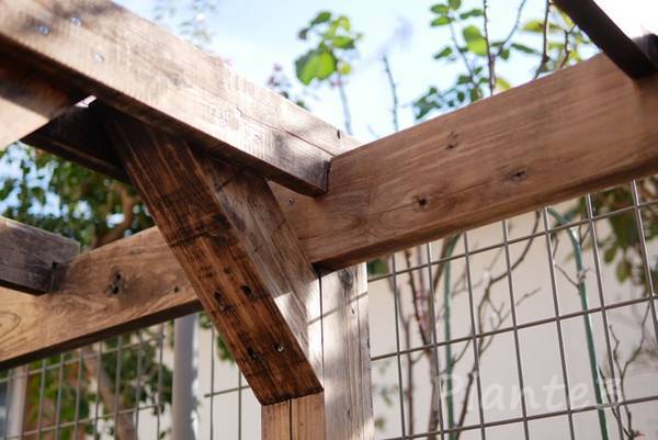 庭のパーゴラ洗浄後の綺麗になった元の木の色