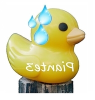 ブログアイコンの焦ってるヒヨコの玩具