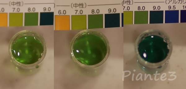 ｐH試験液で測定している写真