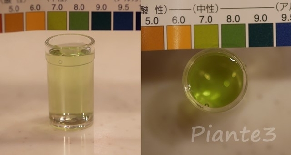 水道水をｐH試験液で測定した写真