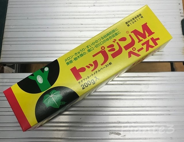 おうち果樹園】家庭菜園で美味しい葡萄栽培にチャレンジ！1月