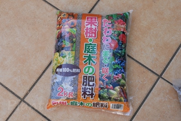 おうち果樹園】家庭菜園で美味しい葡萄栽培にチャレンジ！1月