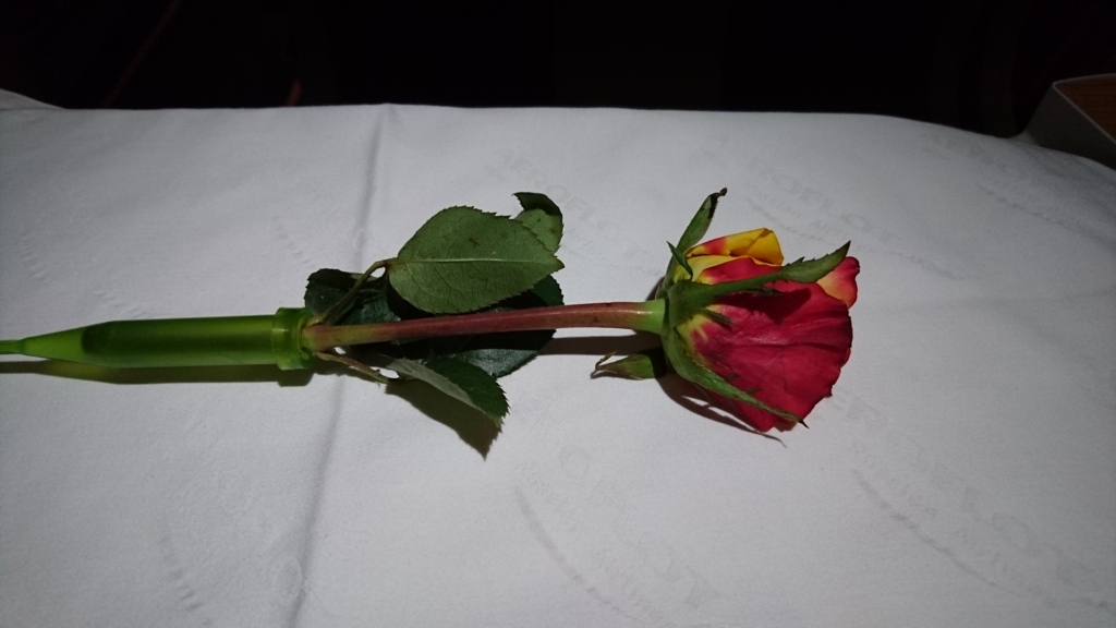 f:id:PlatinumLife:20170320154324j:plain f:id:PlatinumLife:20170320154324j:plain