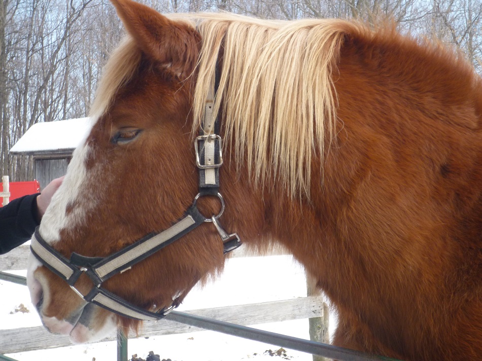 f:id:PlugOut:20110304144249j:plain