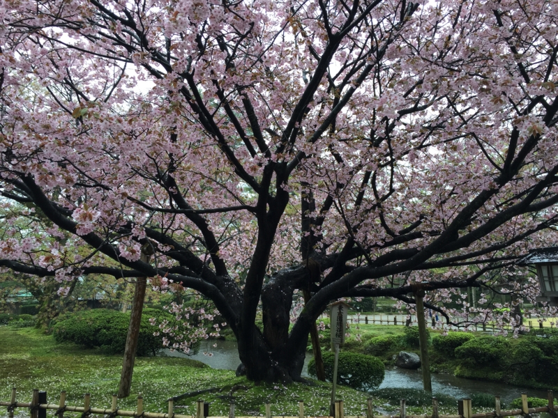 f:id:PlugOut:20150419154435j:plain