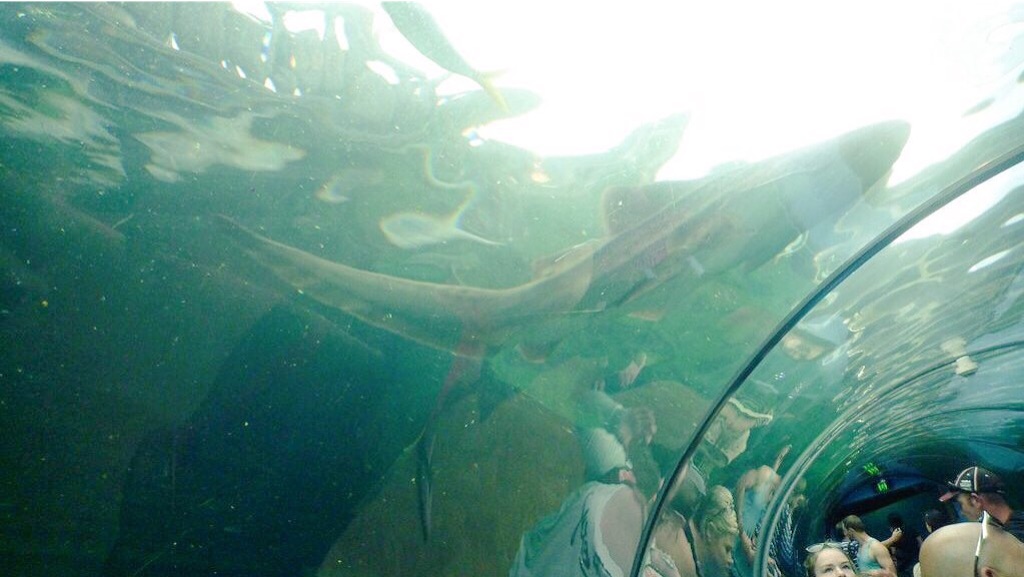 f:id:PlugOut:20160102203113j:image f:id:PlugOut:20160102203113j:image