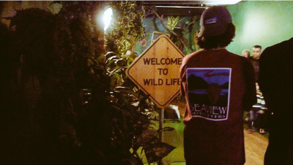 f:id:PlugOut:20160102205309j:image f:id:PlugOut:20160102205309j:image