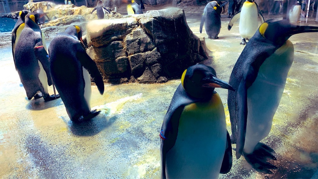 f:id:PlugOut:20181226094148j:image