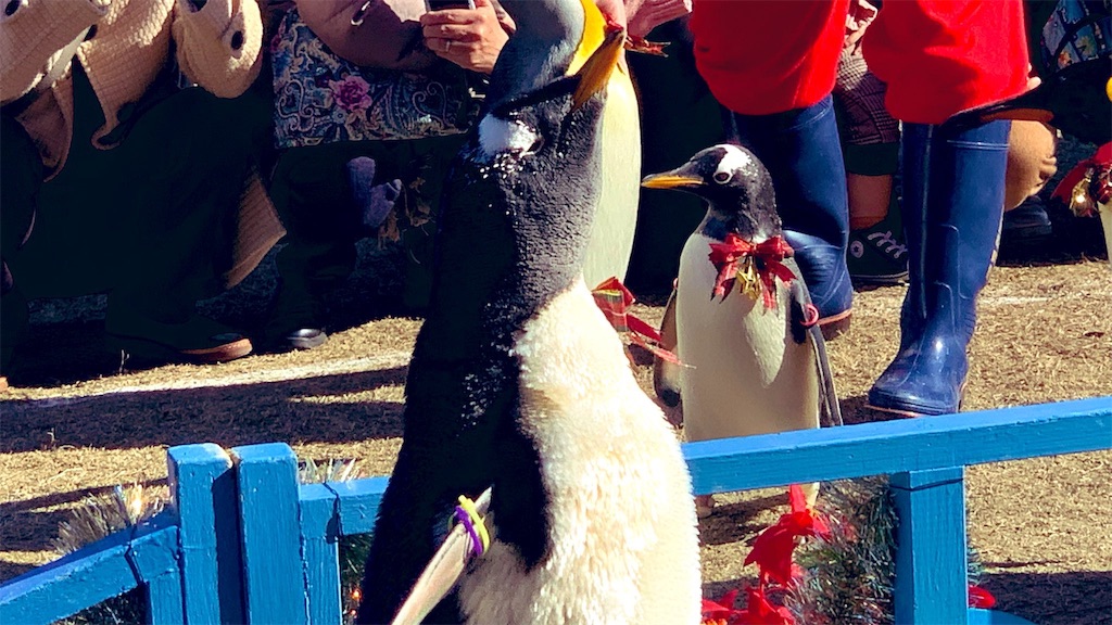 f:id:PlugOut:20181226094220j:image