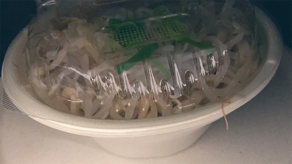 f:id:PlugOut:20190131145356j:image