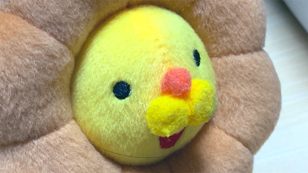f:id:PlugOut:20190203203528j:image f:id:PlugOut:20190203203528j:image
