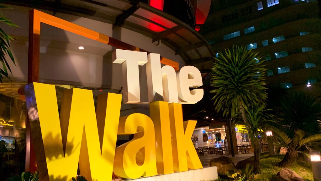 f:id:PlugOut:20190313202147j:image f:id:PlugOut:20190313202147j:image