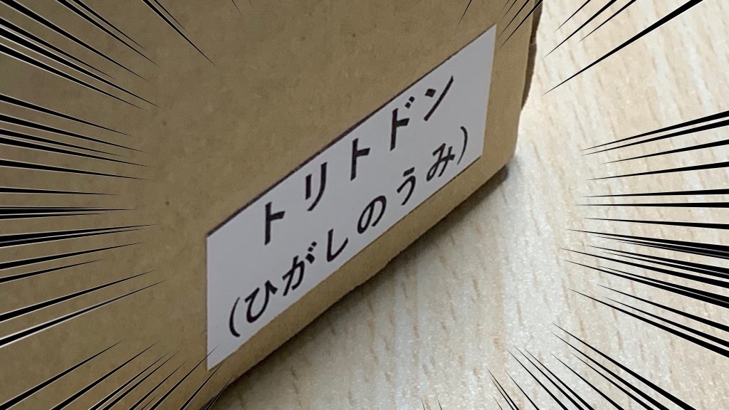 f:id:PlugOut:20200207084841j:image