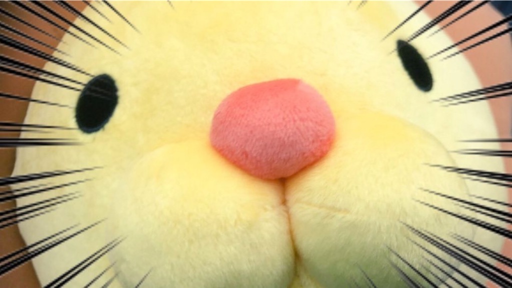 f:id:PlugOut:20200424134628j:image f:id:PlugOut:20200424134628j:image
