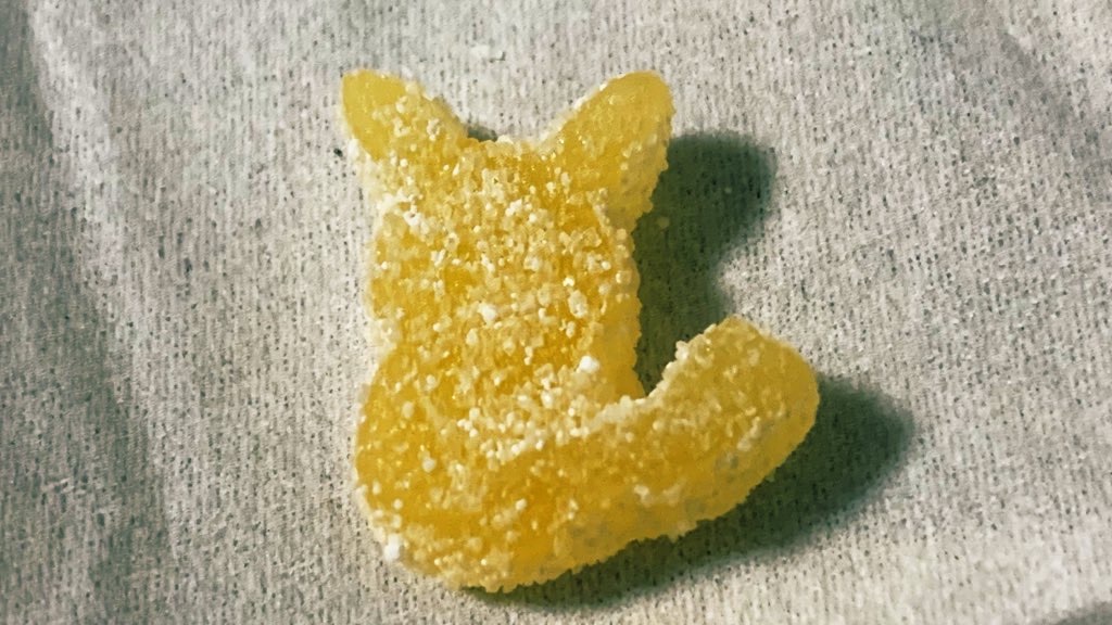 f:id:PlugOut:20201028203236j:image