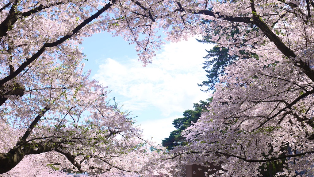 f:id:PlugOut:20220426234135j:image f:id:PlugOut:20220426234135j:image