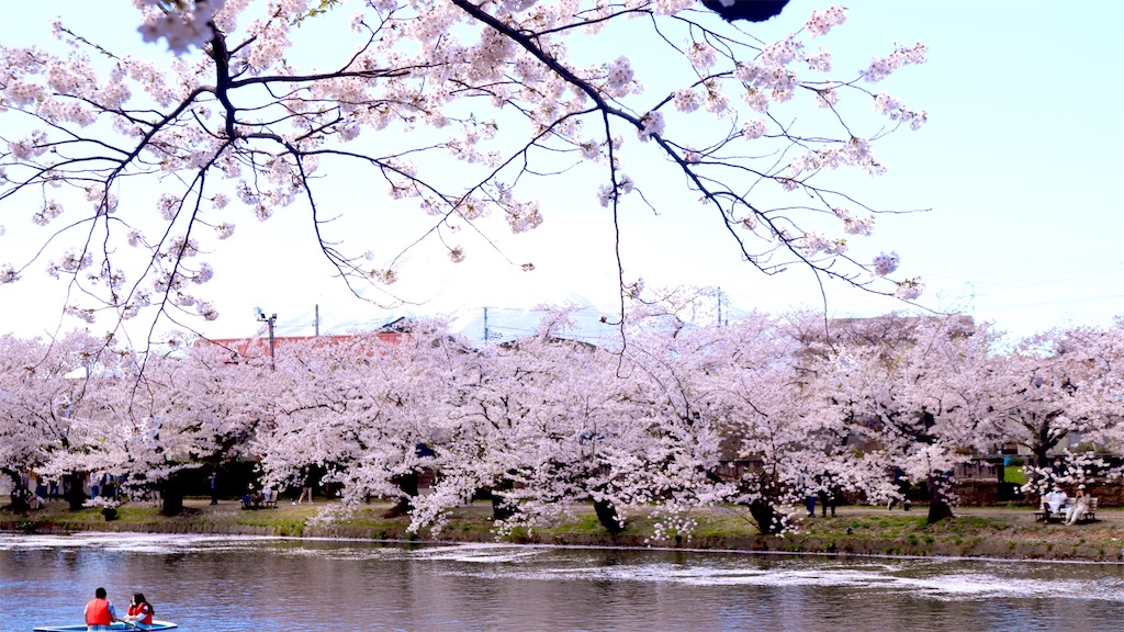 f:id:PlugOut:20220427004211j:image f:id:PlugOut:20220427004211j:image