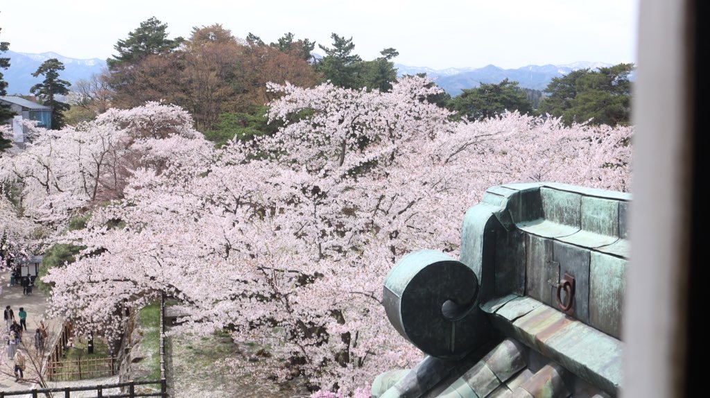 f:id:PlugOut:20220427005054j:image f:id:PlugOut:20220427005054j:image