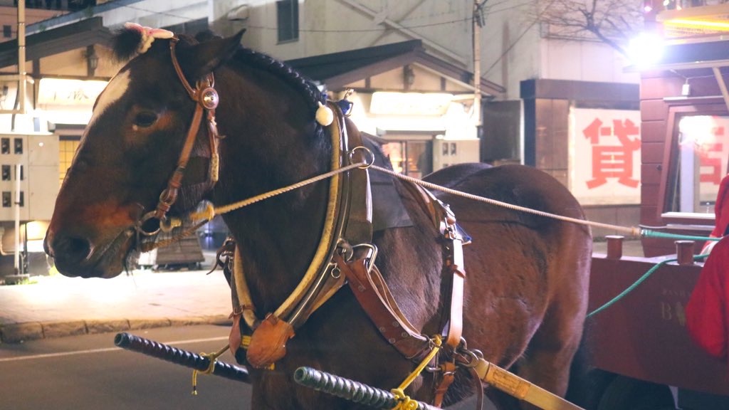 f:id:PlugOut:20220521212833j:image