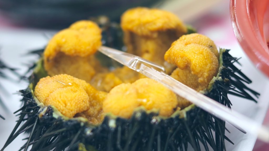 f:id:PlugOut:20220907223036j:image