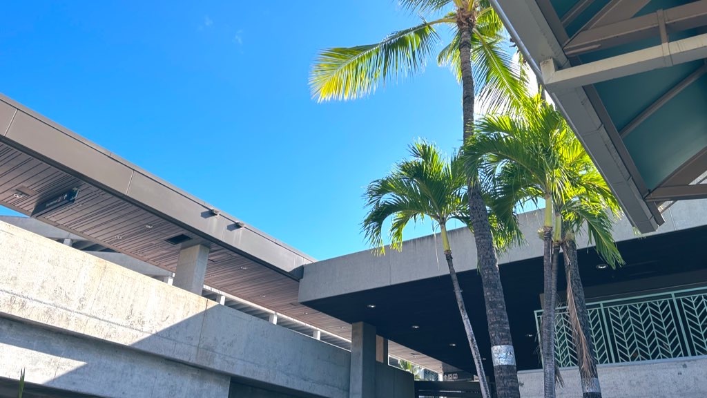 f:id:PlugOut:20221105083402j:image f:id:PlugOut:20221105083402j:image