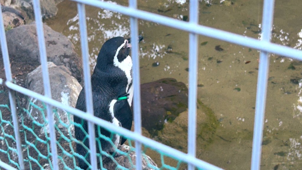 f:id:PlugOut:20230225162301j:image