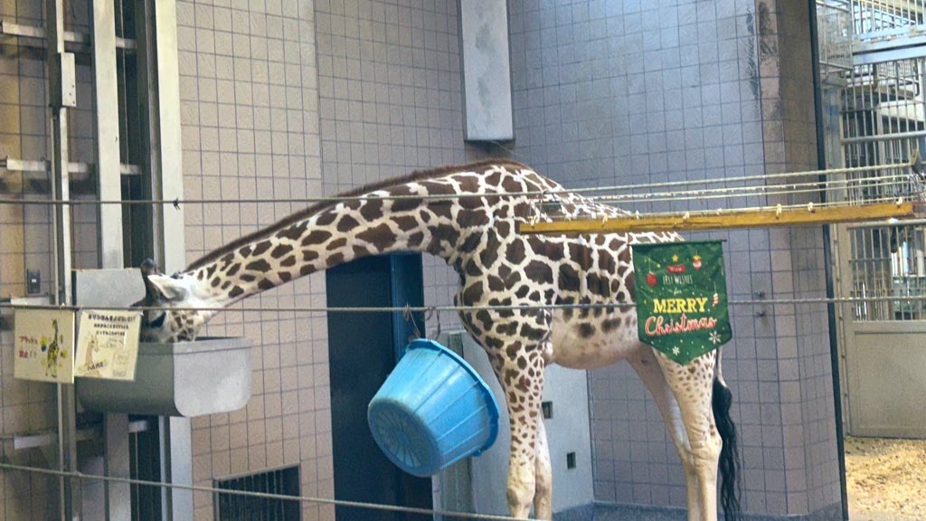 f:id:PlugOut:20230225162329j:image