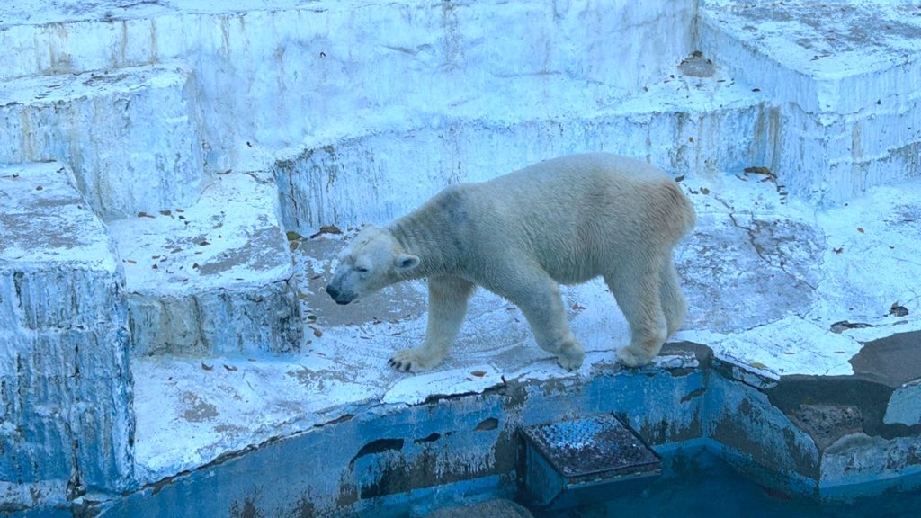 f:id:PlugOut:20230225162357j:image