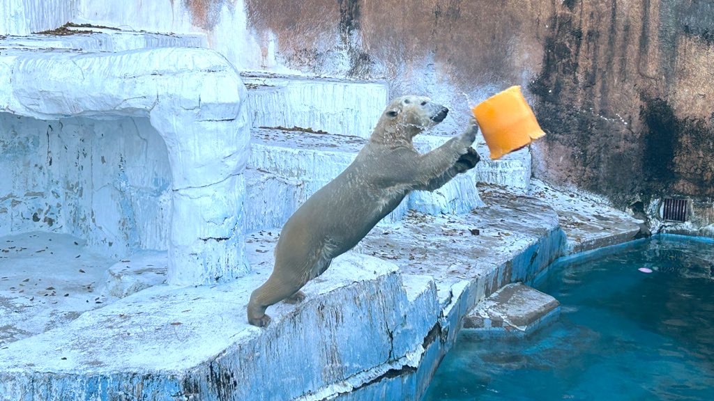 f:id:PlugOut:20230225162405j:image