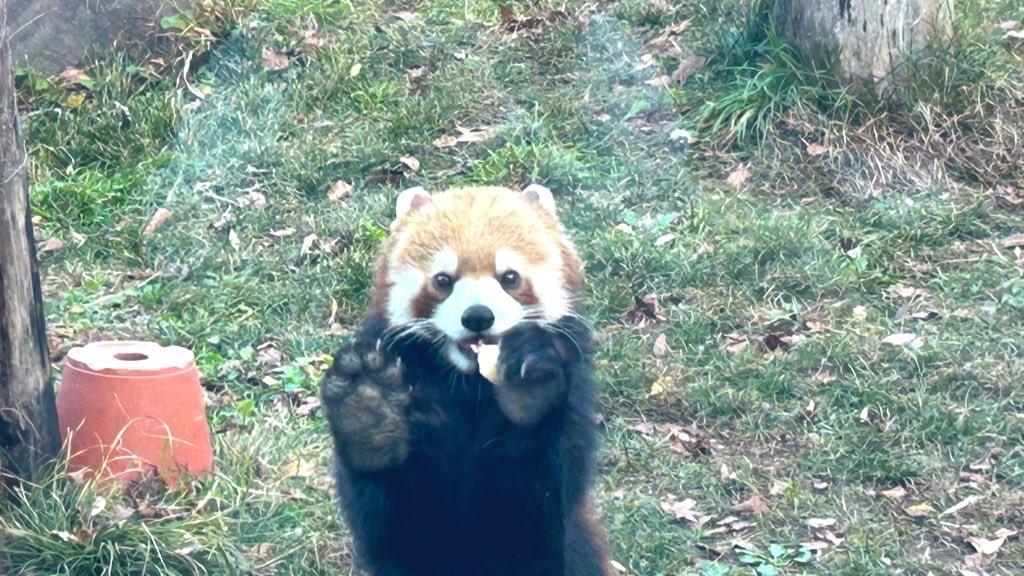 f:id:PlugOut:20230225162412j:image