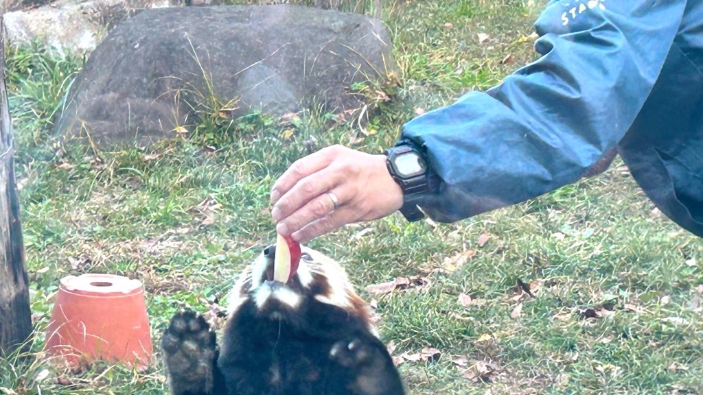 f:id:PlugOut:20230225162420j:image