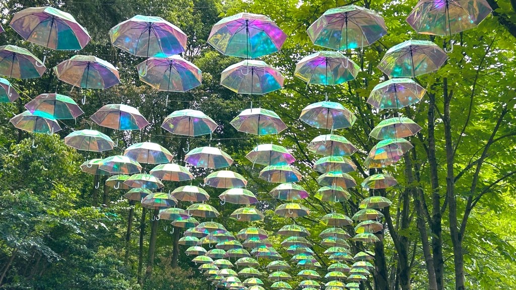 f:id:PlugOut:20230603234507j:image f:id:PlugOut:20230603234507j:image