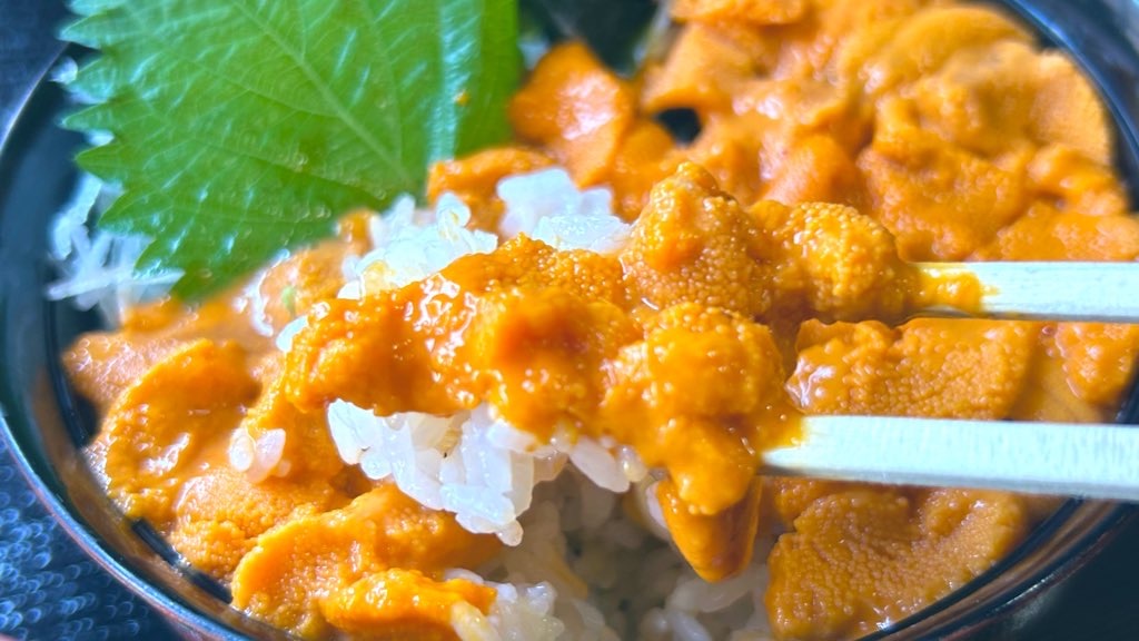 f:id:PlugOut:20230728161000j:image