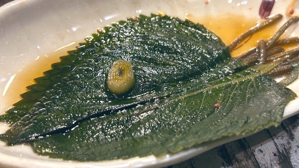 f:id:PlugOut:20230810213521j:image