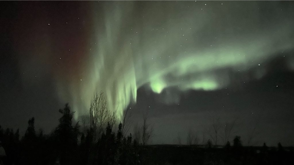 f:id:PlugOut:20240220222736j:image