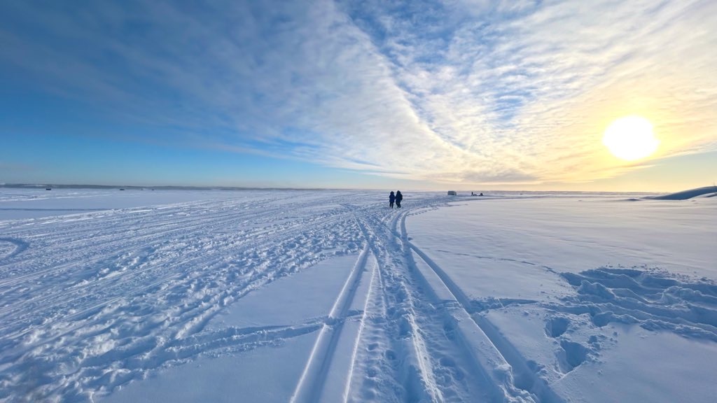 f:id:PlugOut:20240225122453j:image f:id:PlugOut:20240225122453j:image