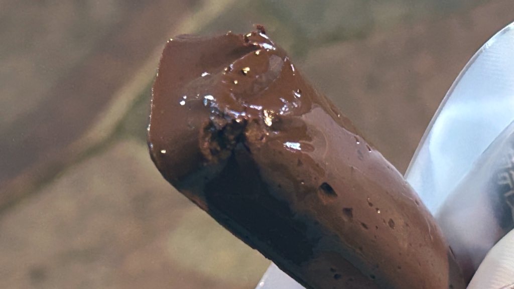 f:id:PlugOut:20240405114610j:image