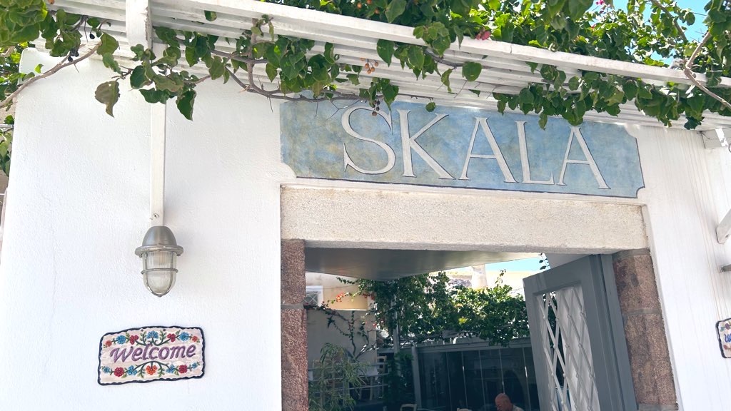 f:id:PlugOut:20240625200034j:image f:id:PlugOut:20240625200034j:image