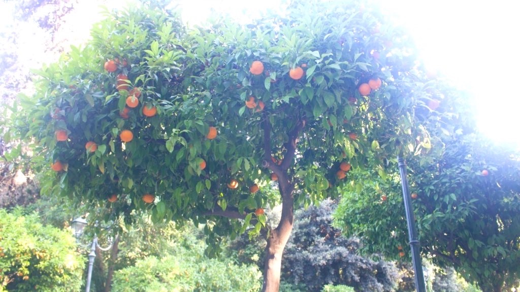 f:id:PlugOut:20240902200217j:image f:id:PlugOut:20240902200217j:image