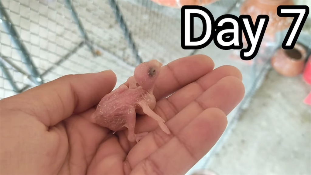 f:id:PoCaLi:20221228201625j:image f:id:PoCaLi:20221228201625j:image