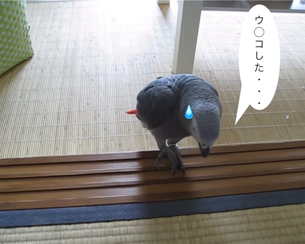 f:id:PoCaLi:20230127101744j:image f:id:PoCaLi:20230127101744j:image