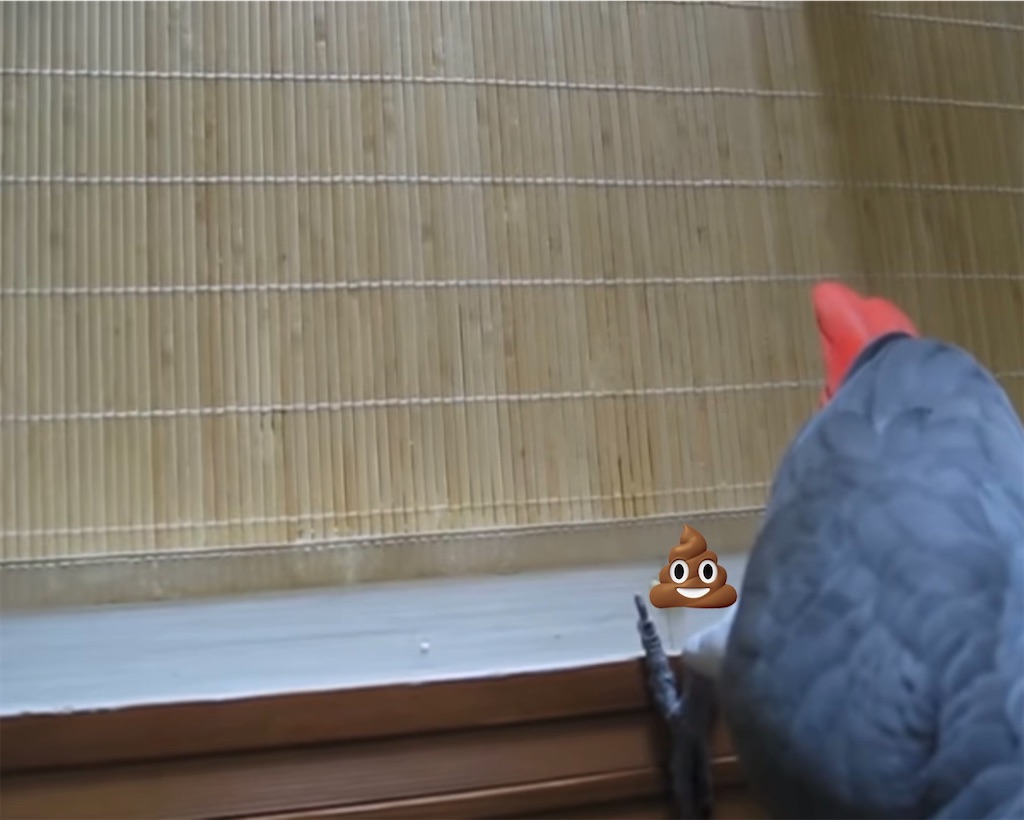 f:id:PoCaLi:20230127102005j:image f:id:PoCaLi:20230127102005j:image