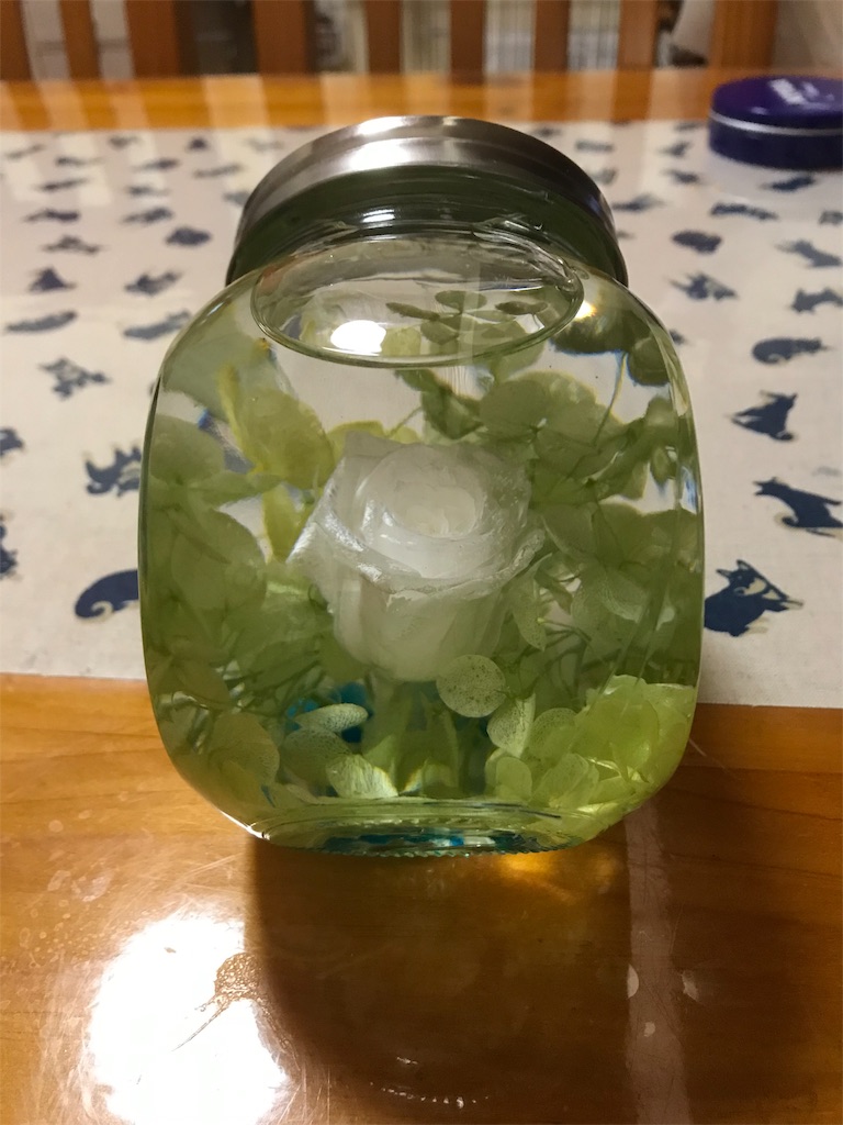 f:id:PoMec:20190227220935j:plain f:id:PoMec:20190227220935j:plain